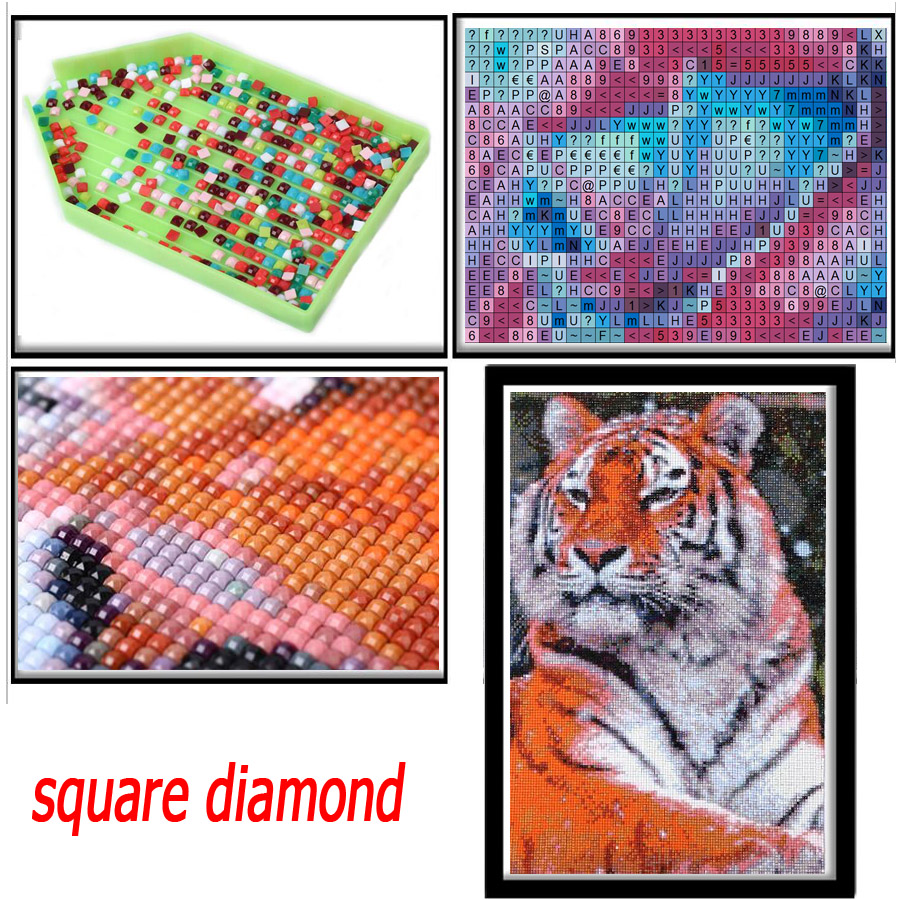 ジプビューティーとヒョウの5dダイヤモンドモザイク絵画、ライ - Embroidery In Egypt のレビューと価格