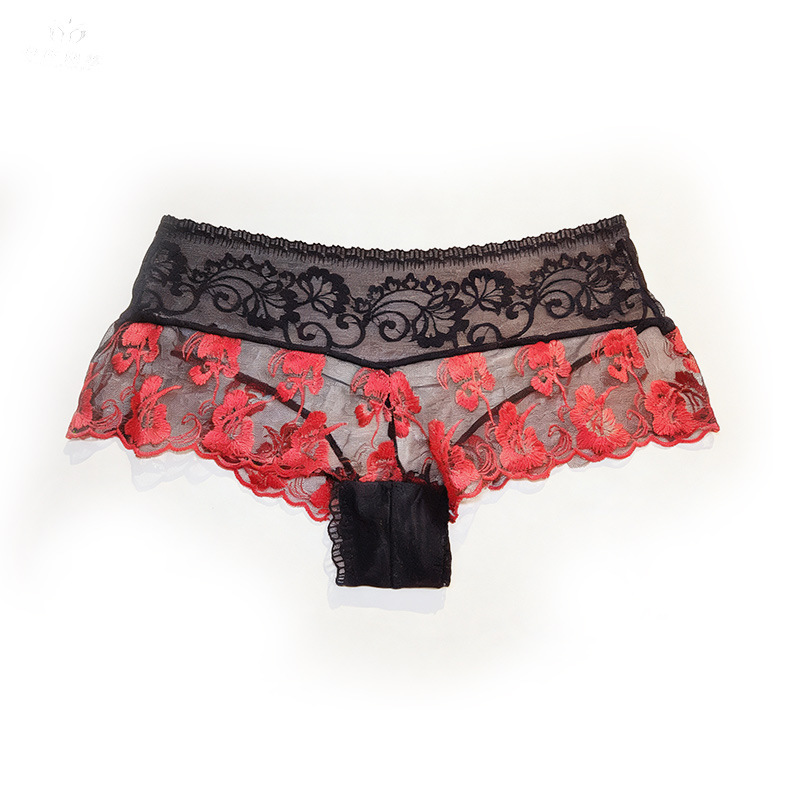 【1 個】ランジェリーファムウルトラホットレッドブルー刺繍セ - Embroidery Underwear のレビューと価格